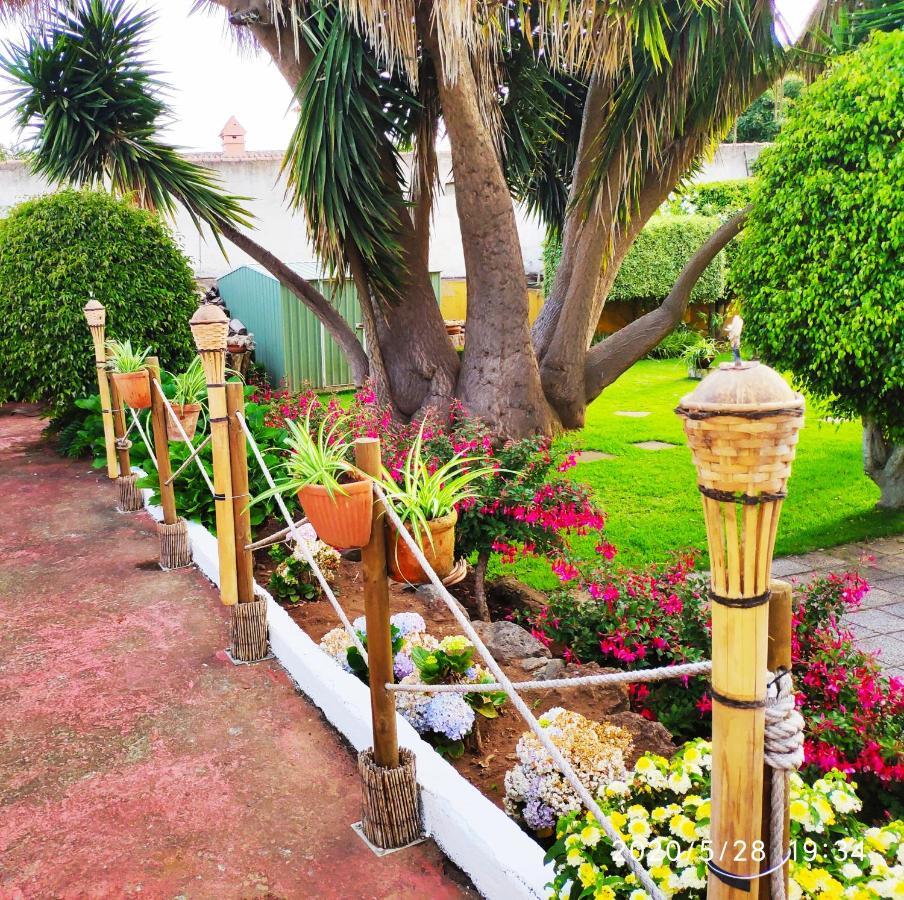 Finca El Trazo Tacoronte Exterior foto