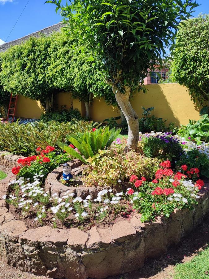 Finca El Trazo Tacoronte Exterior foto