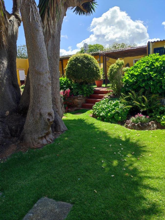 Finca El Trazo Tacoronte Exterior foto